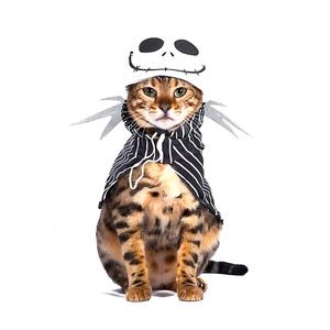 NWT • Disney’s •The Nightmare Before a Christmas •Jack Skellington •Cat Costume